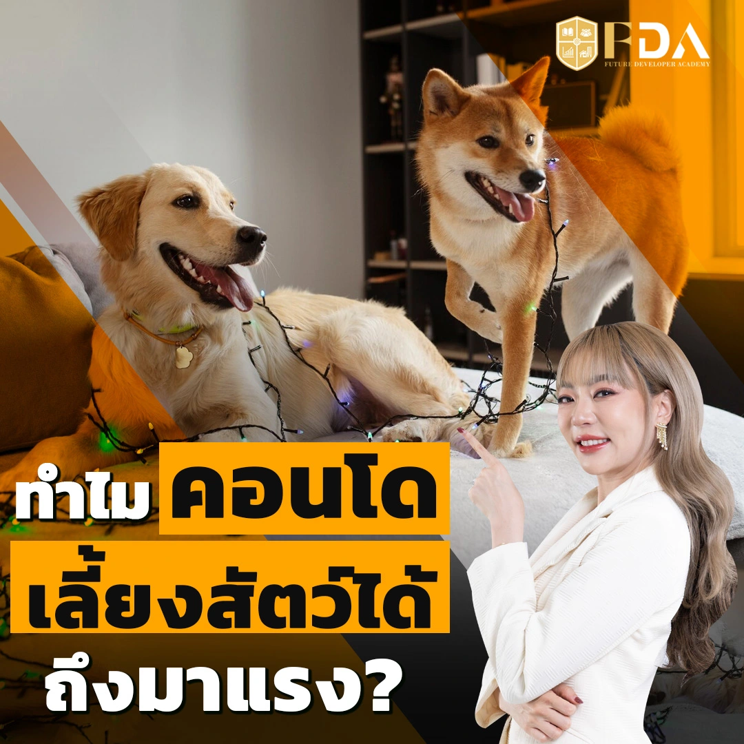 คอนโดเลี้ยงสัตว์ได้